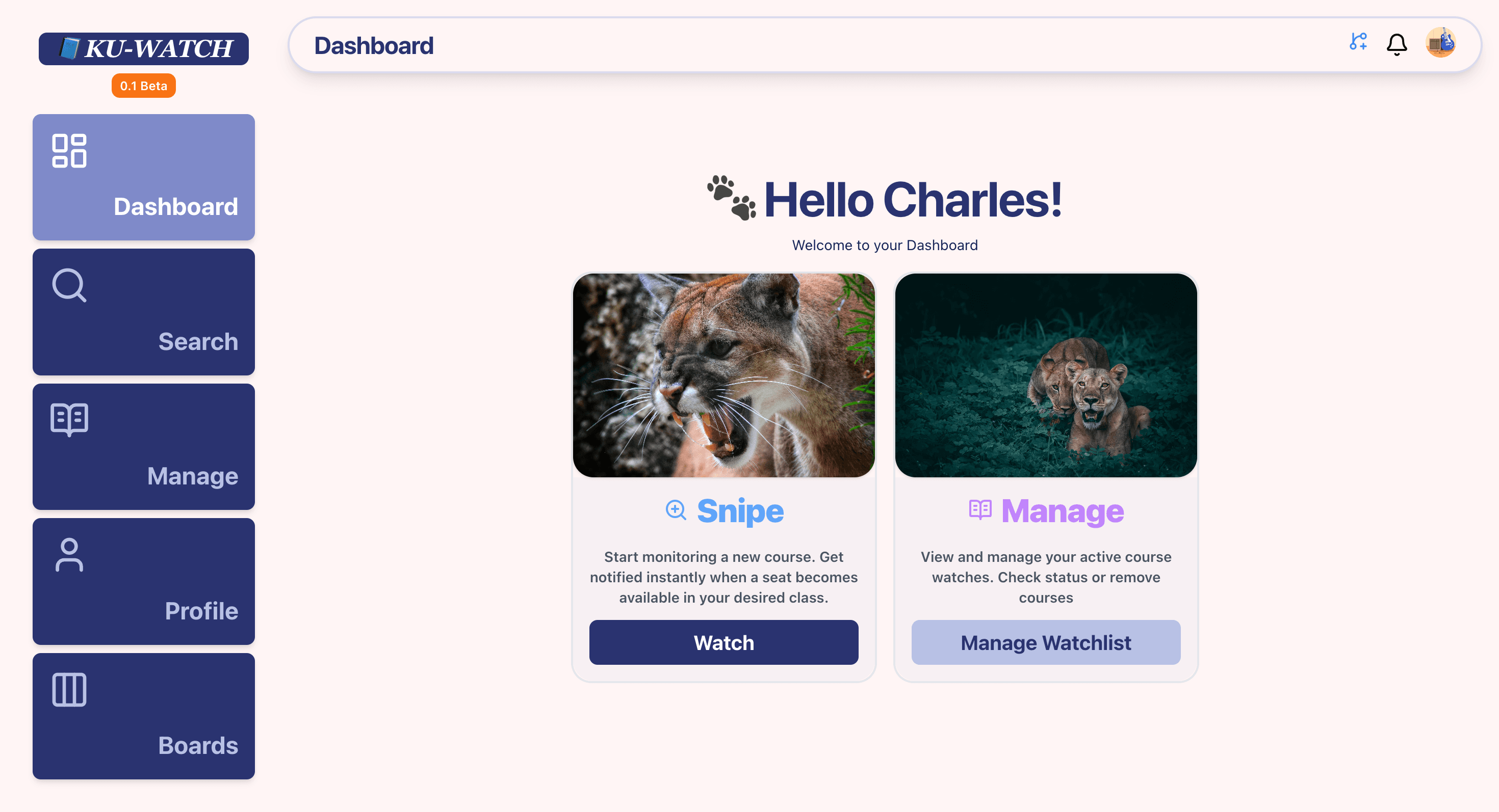 Image of Project